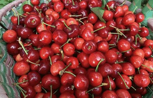 汶川旅游景点十大排行榜,四川旅游推荐汶川