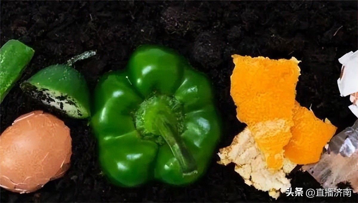 蟑螂最怕一招教你彻底消灭蟑螂,不知道蟑螂在哪里如何消灭