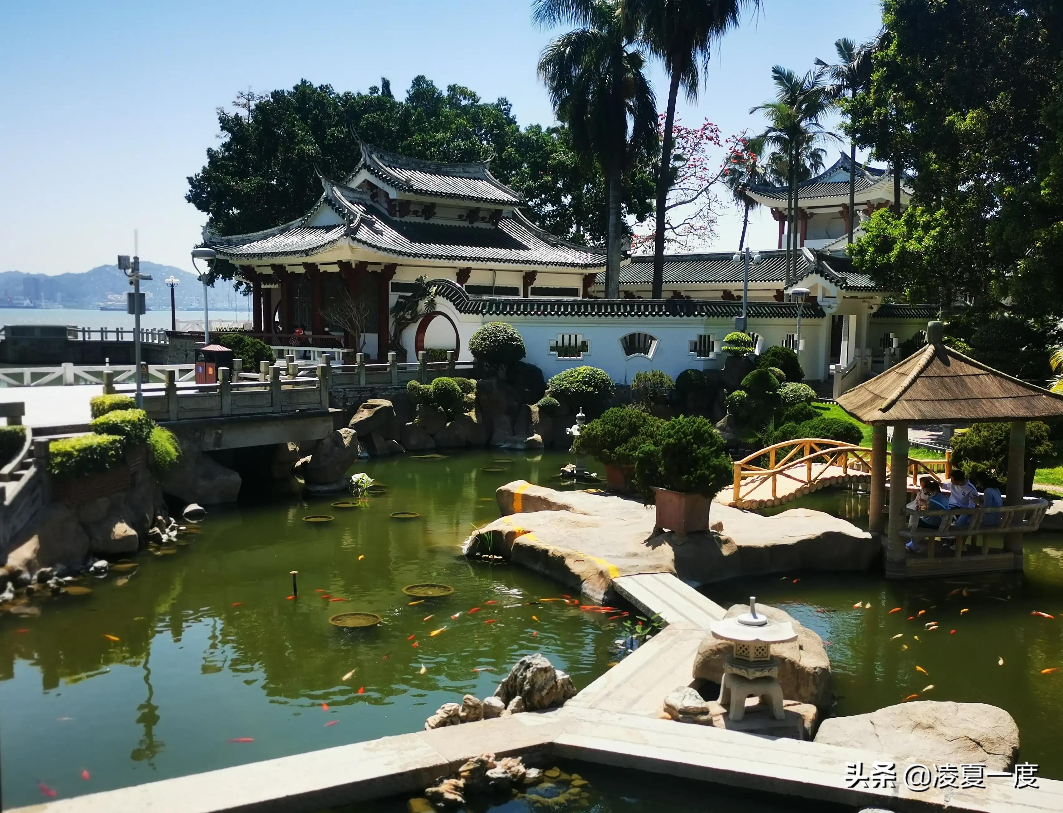 厦门鼓浪屿最美路线,收藏好图