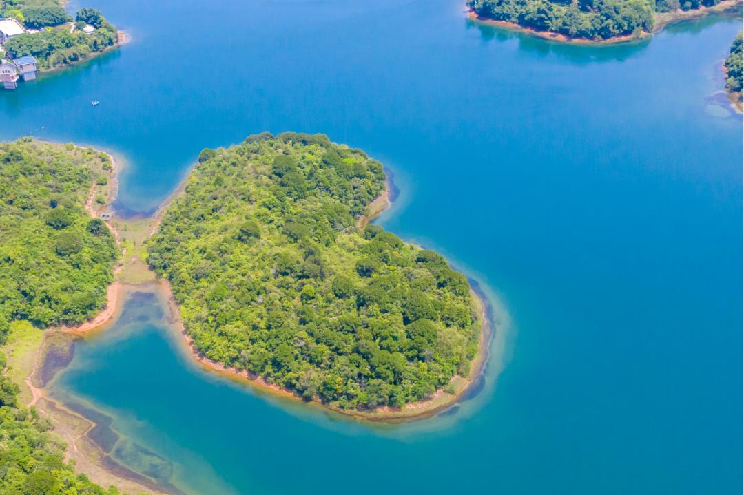 梧桐山外深圳还有哪些山值得一游,东莞银瓶山和深圳梧桐山哪个难爬