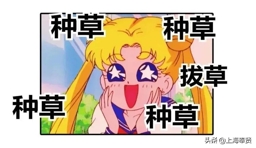 奉贤天街有哪些品牌,奉贤两大龙湖天街规划