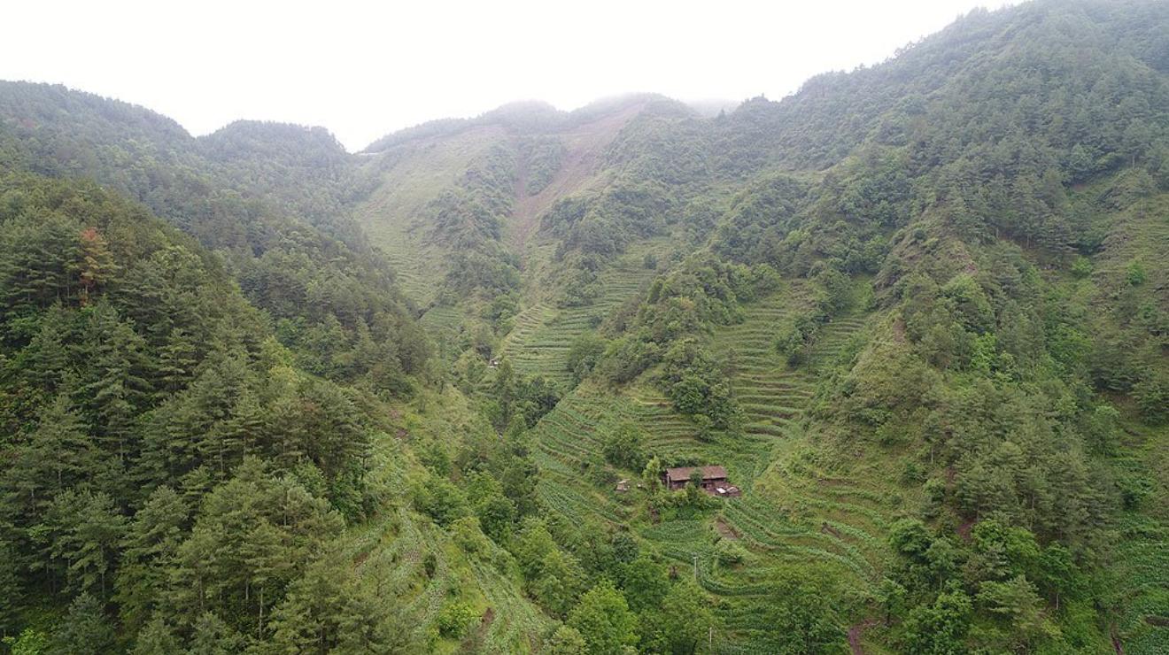 直播山东80后,山东80后直播