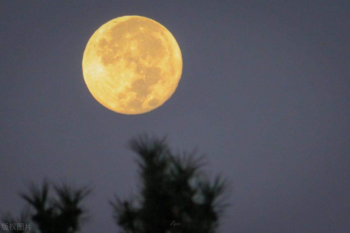 晚安语录简短暖心短句,高情商跟女朋友说晚安的短句100句