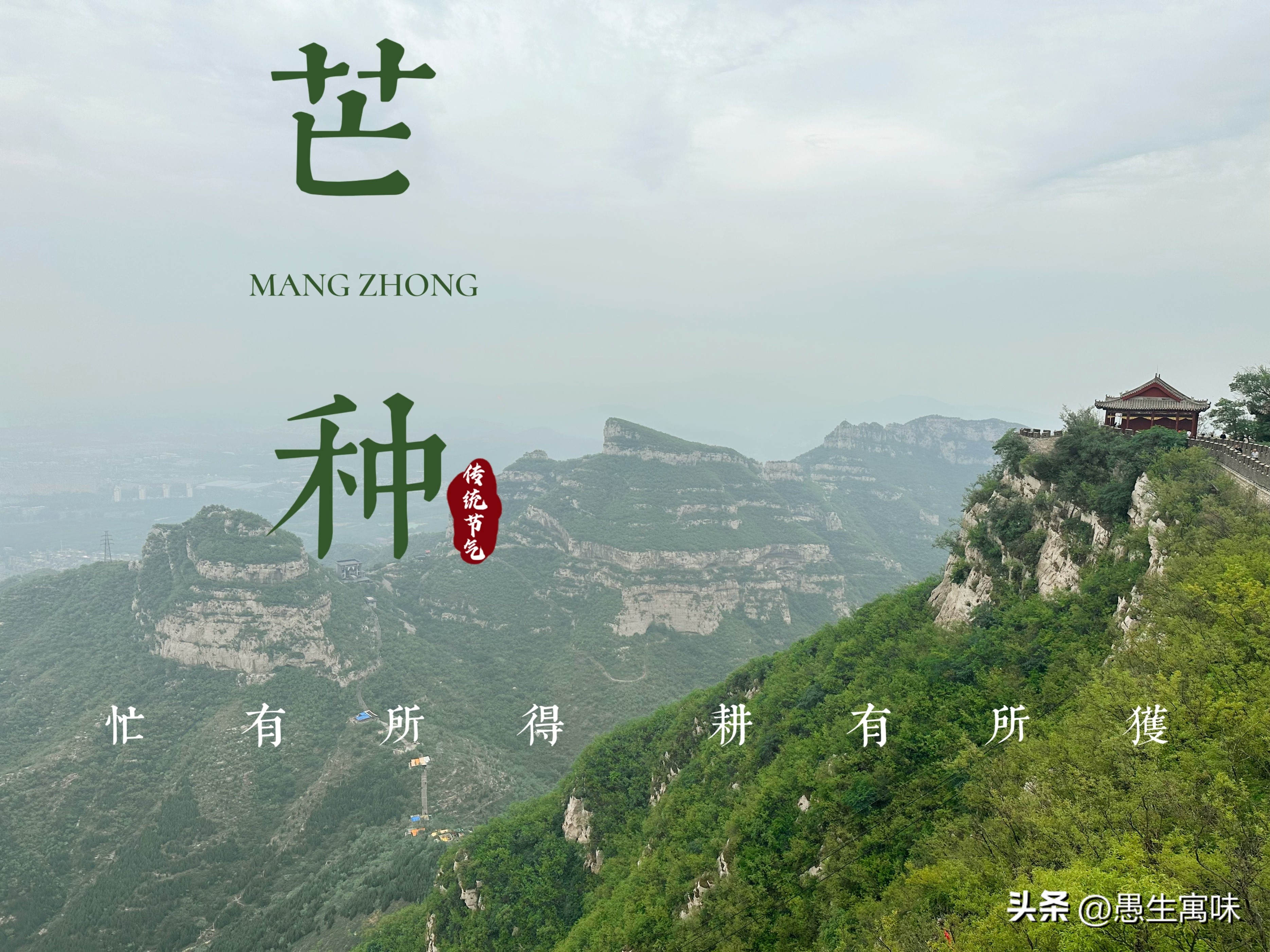 高考是什么时候出成绩,高考是什么感觉