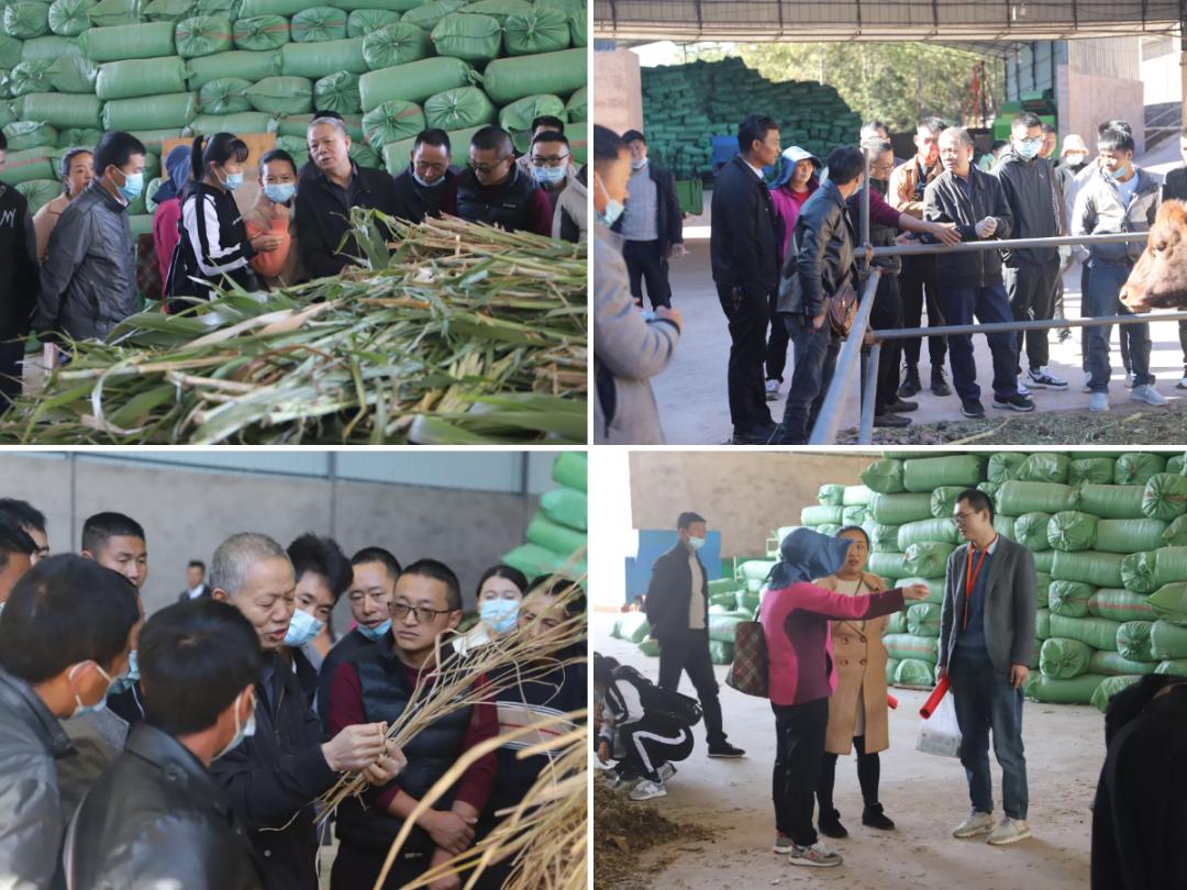 国际农业发展基金贷款优势,国际农业基金贷款项目