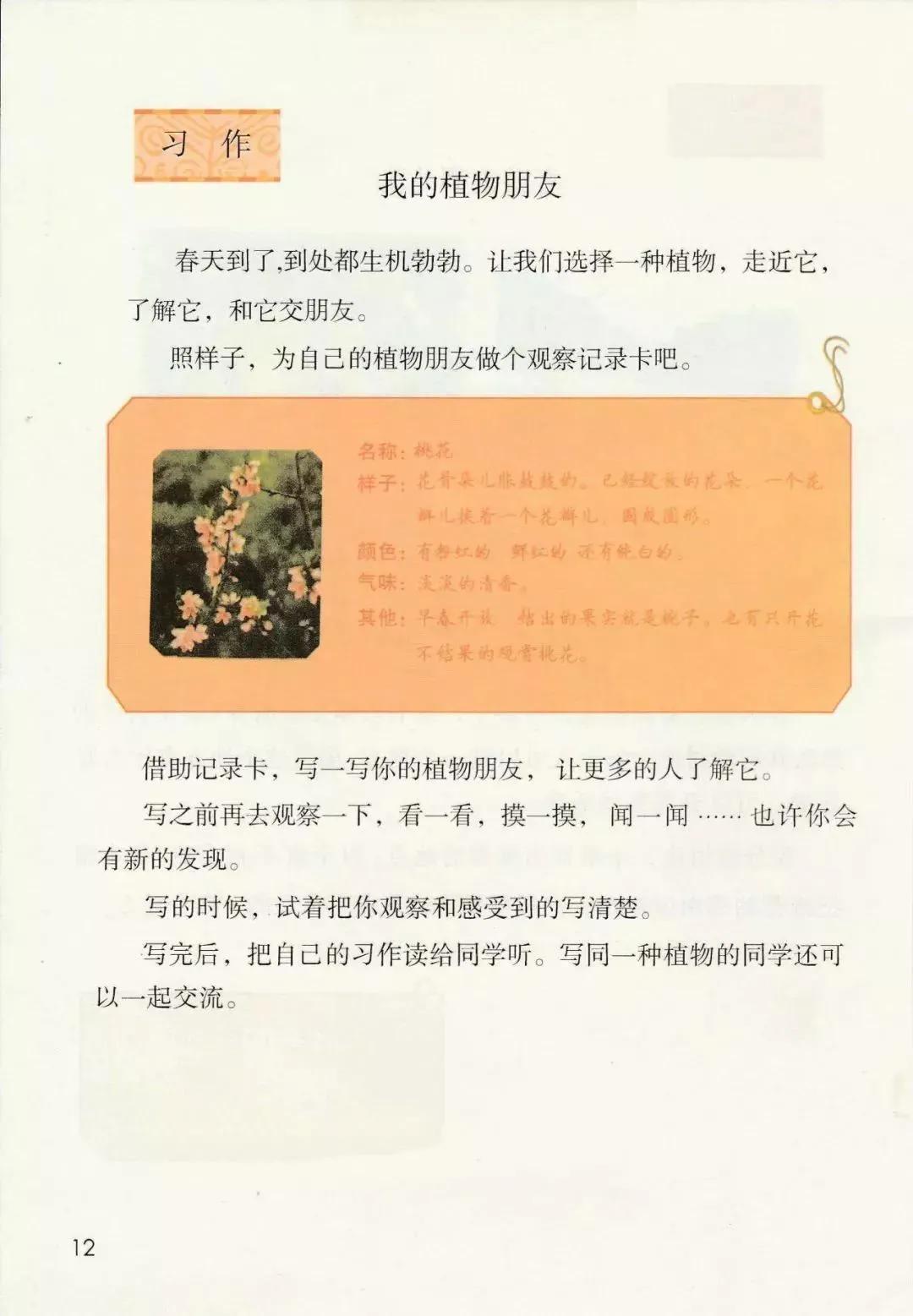 人教版小学语文三年级下册课本（电子版）寒假预习，快收藏