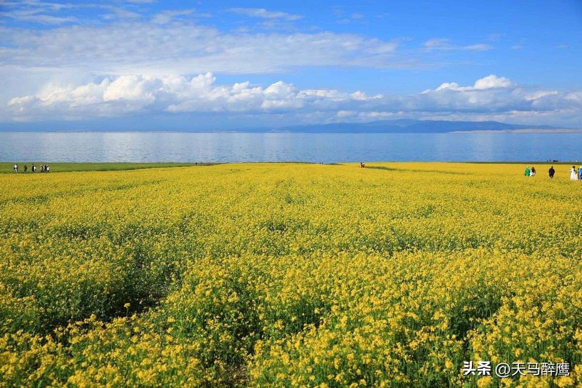 中国十大最值得去的景点排行榜,中国最值得去的10大旅游景区
