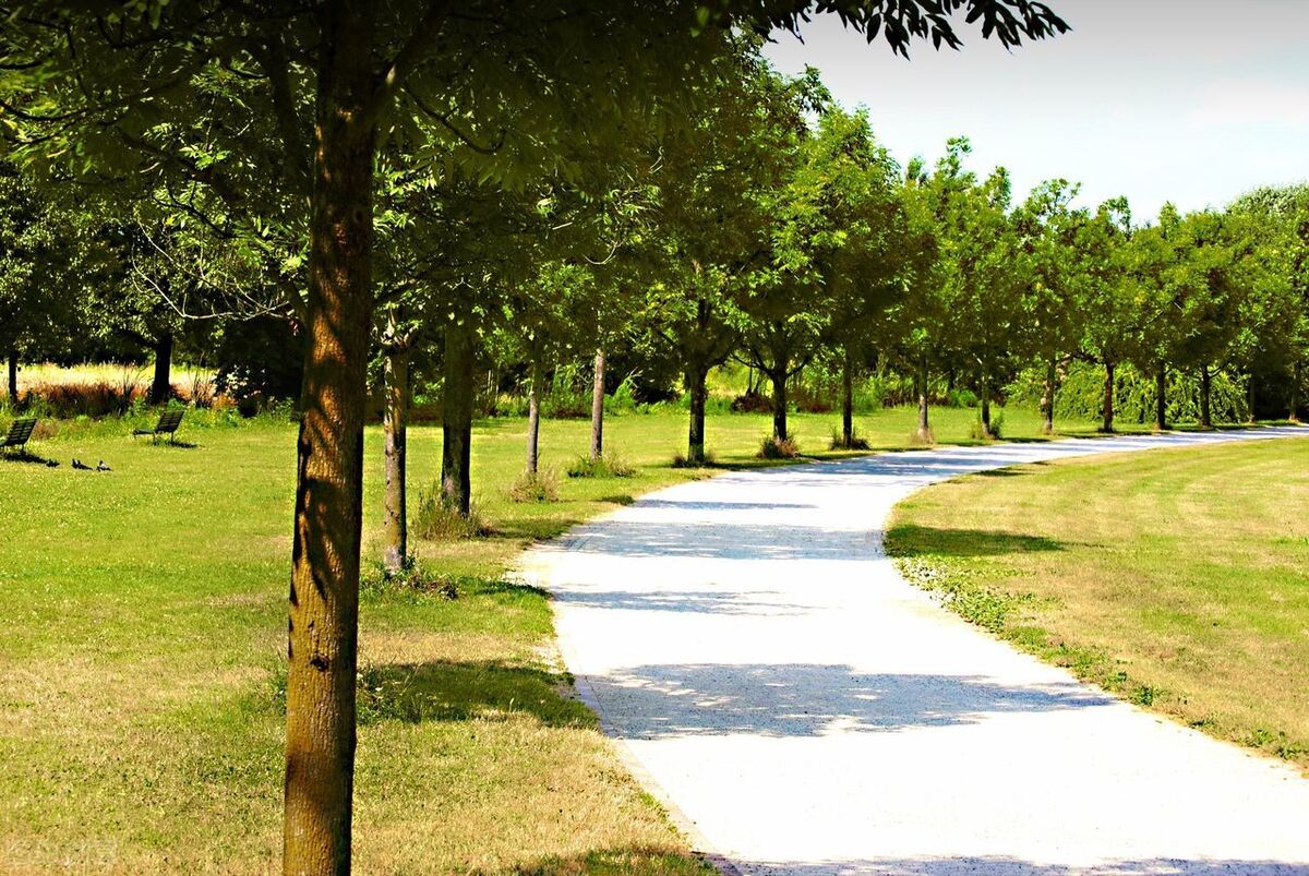 米兰的按摩院（下）