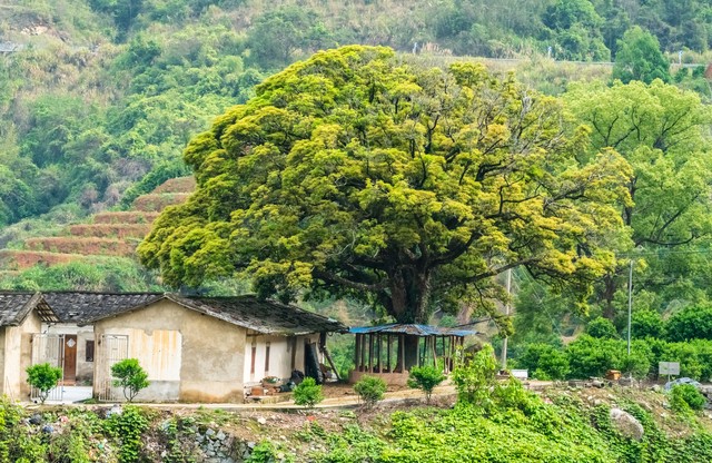 旧屋顶翻新需要审批吗,农村老房子房顶翻新违法吗