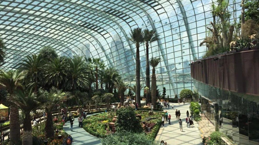 滨水休闲产业全球考察之旅(十一)新加坡滨海湾花园的新颖创意