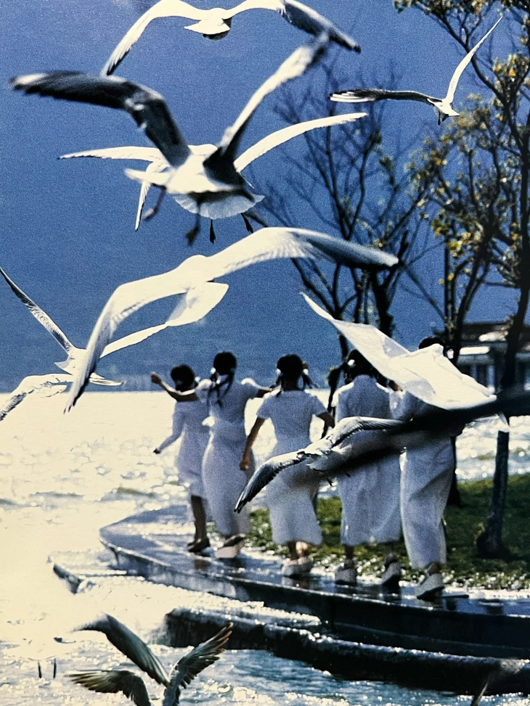 以前的淑女屋,曾经的淑女装