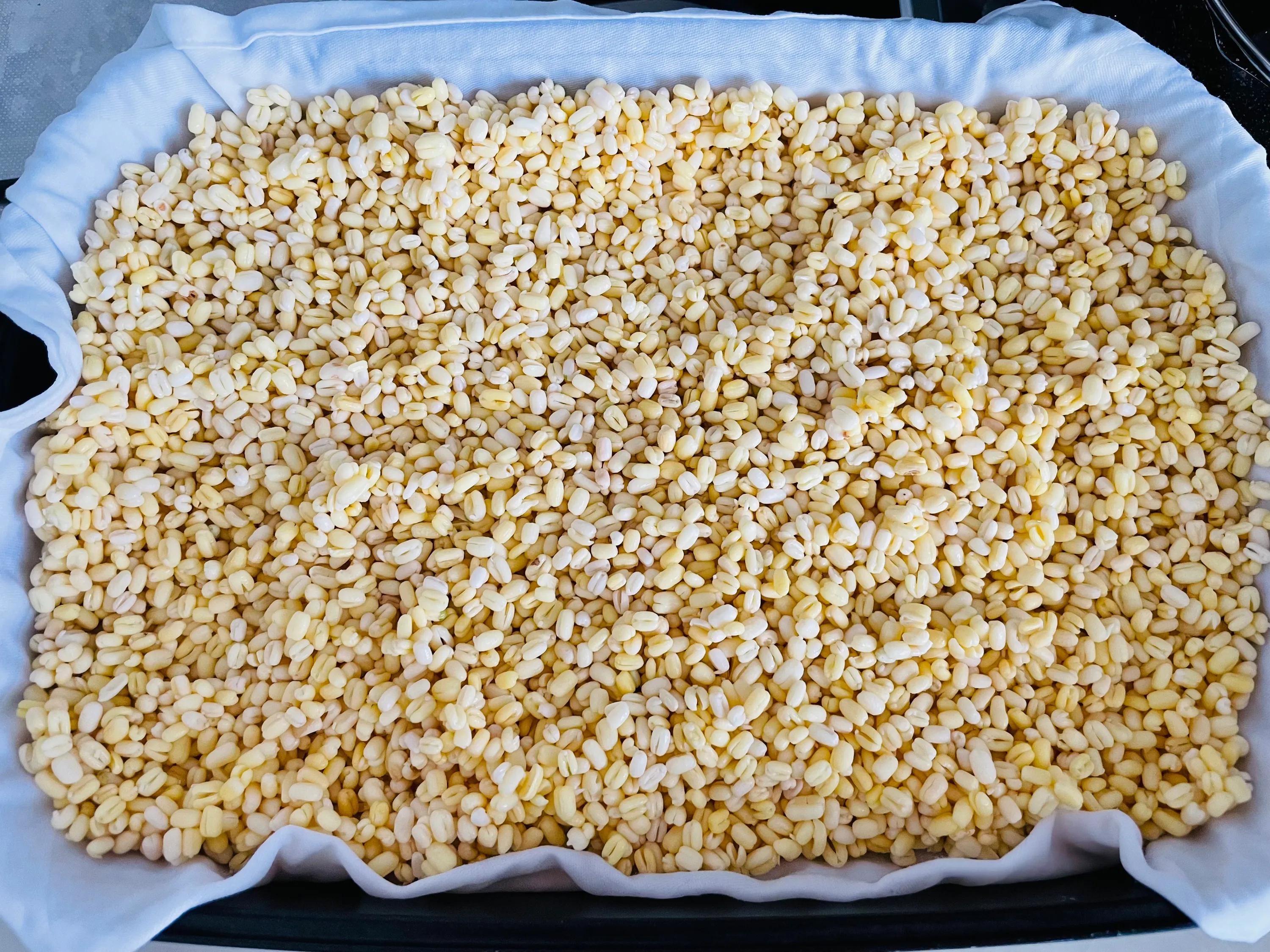 夏日绿豆糕的正确做法,怎么做绿豆糕