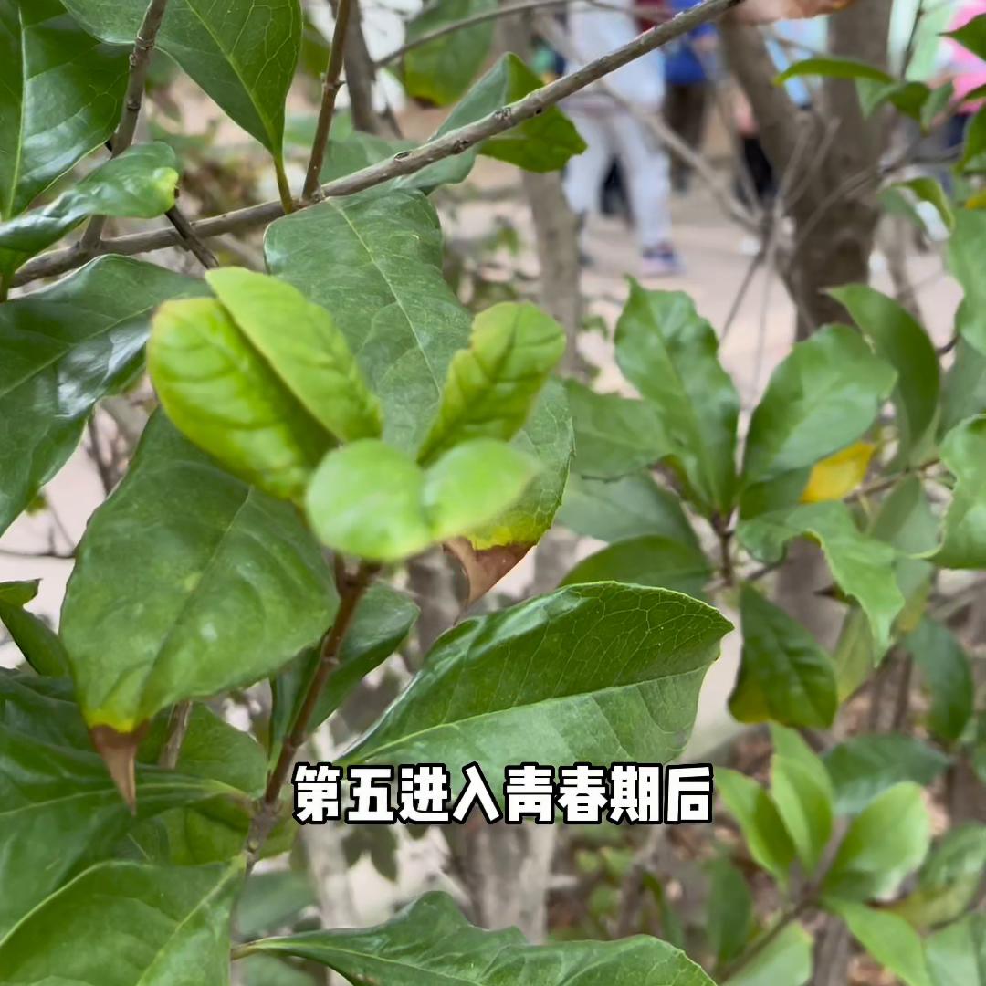 还不知道怎么开口给孩子做性教育,看看这条视频,或许对你...