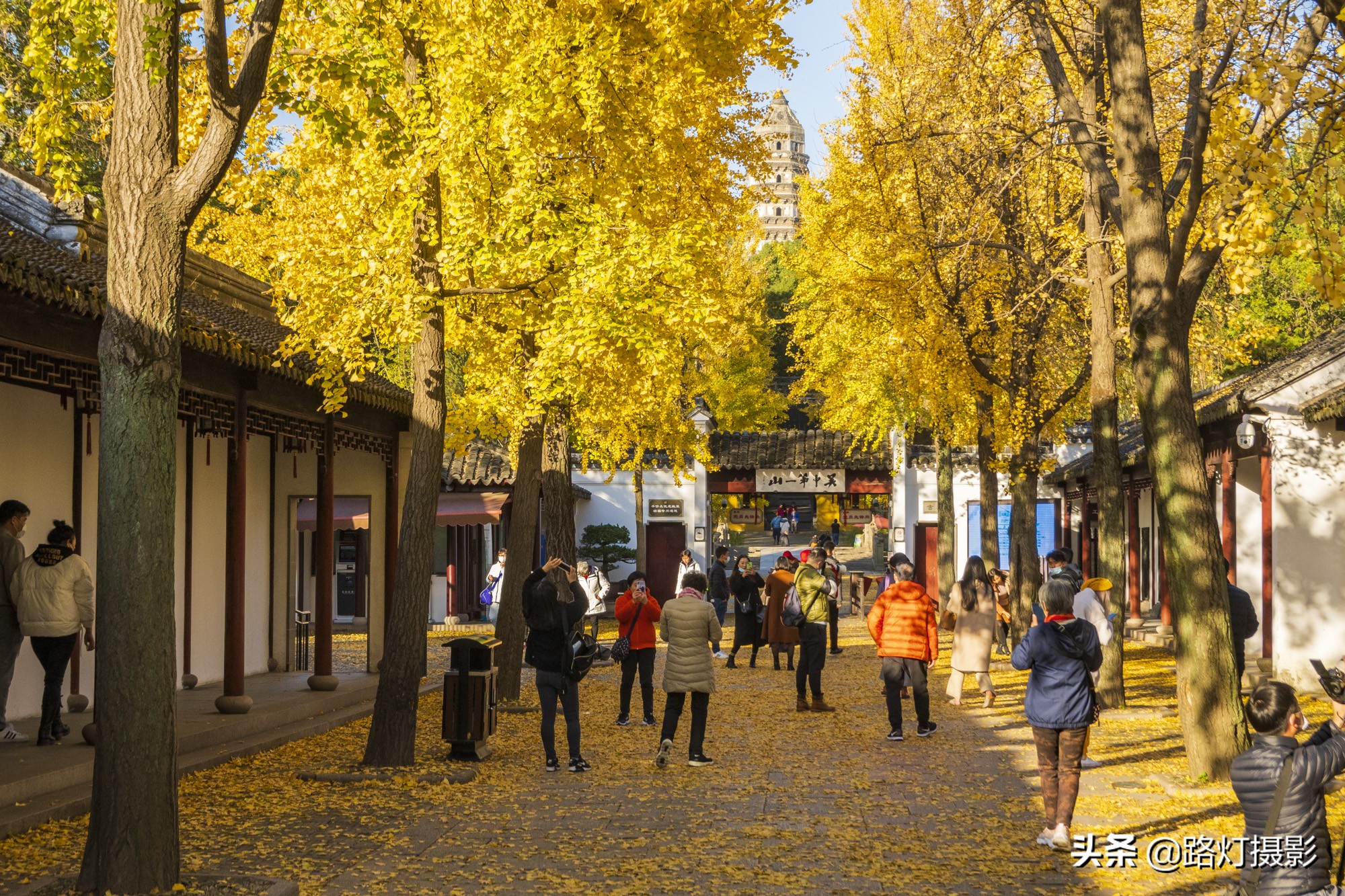 江苏省最具潜力的三个城市,江苏最有潜力的城市