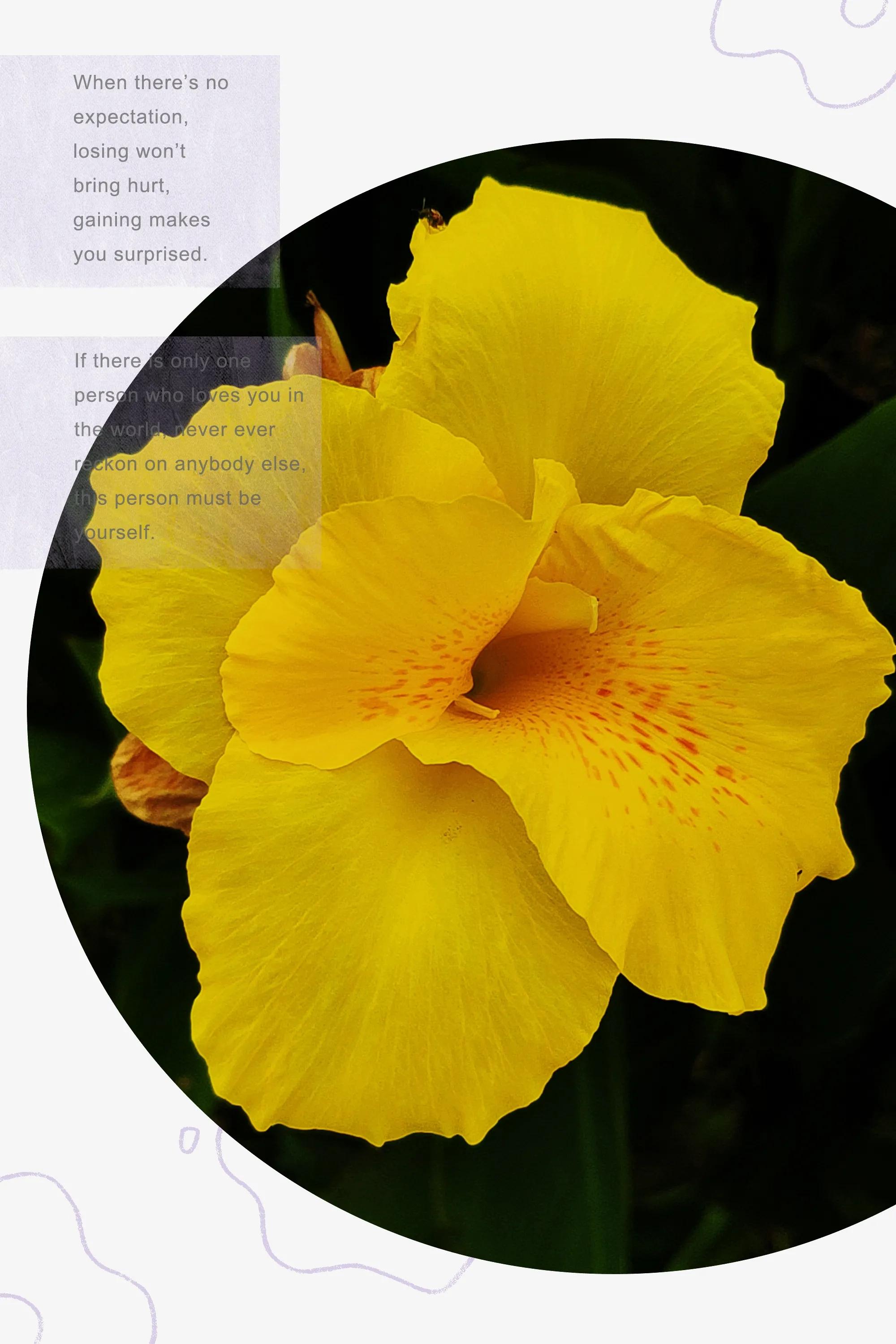 田园美景竖屏大图,乡村田园风景手机怎么拍