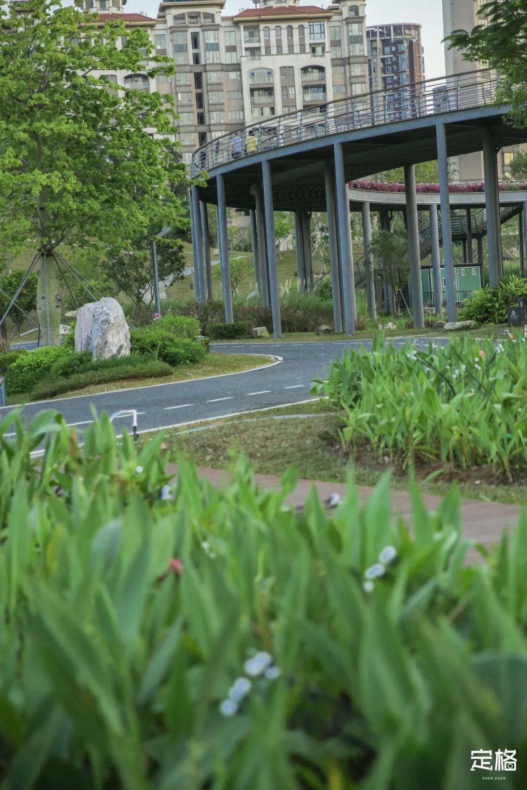 深圳免费好玩的滑梯推荐,深圳摩天滑梯