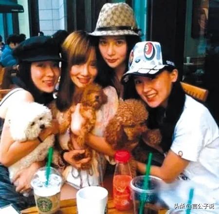 泰迪姐妹团个人资料,娱乐圈泰迪姐妹团现状