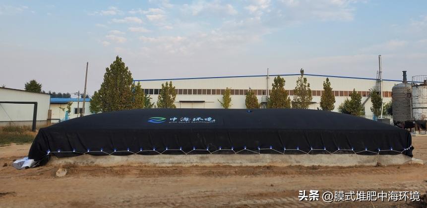 农作物秸秆养鸵鸟变废为宝,银川让农作物秸秆变废为宝