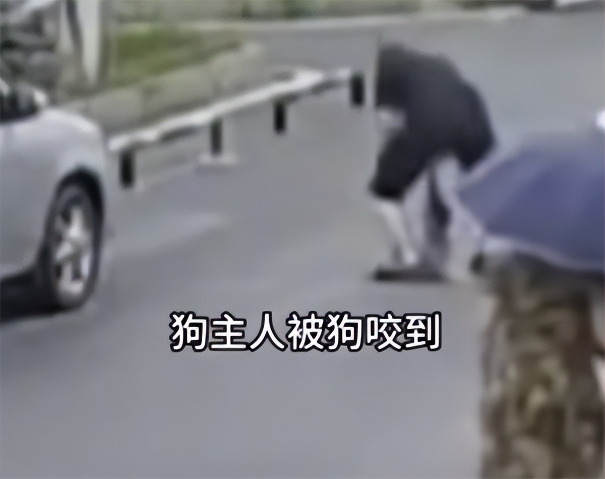 骑车被狗咬了要赔偿吗,狗把车咬了保险公司赔不赔