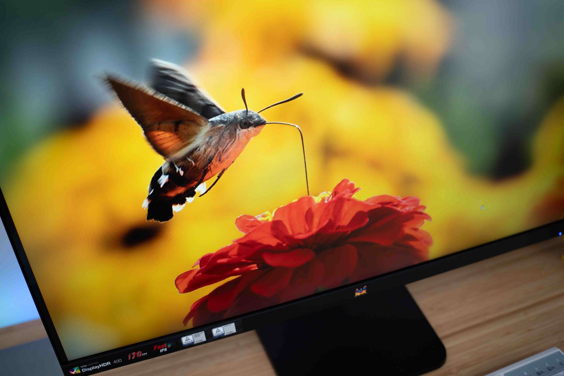 优派vx2781显示器画面设置,优派vx2480-2k-hd显示器参数