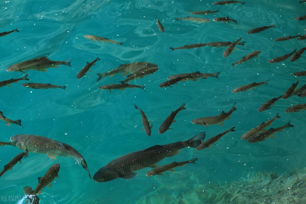 安徽凤台县名字由来,凤台县历史由来