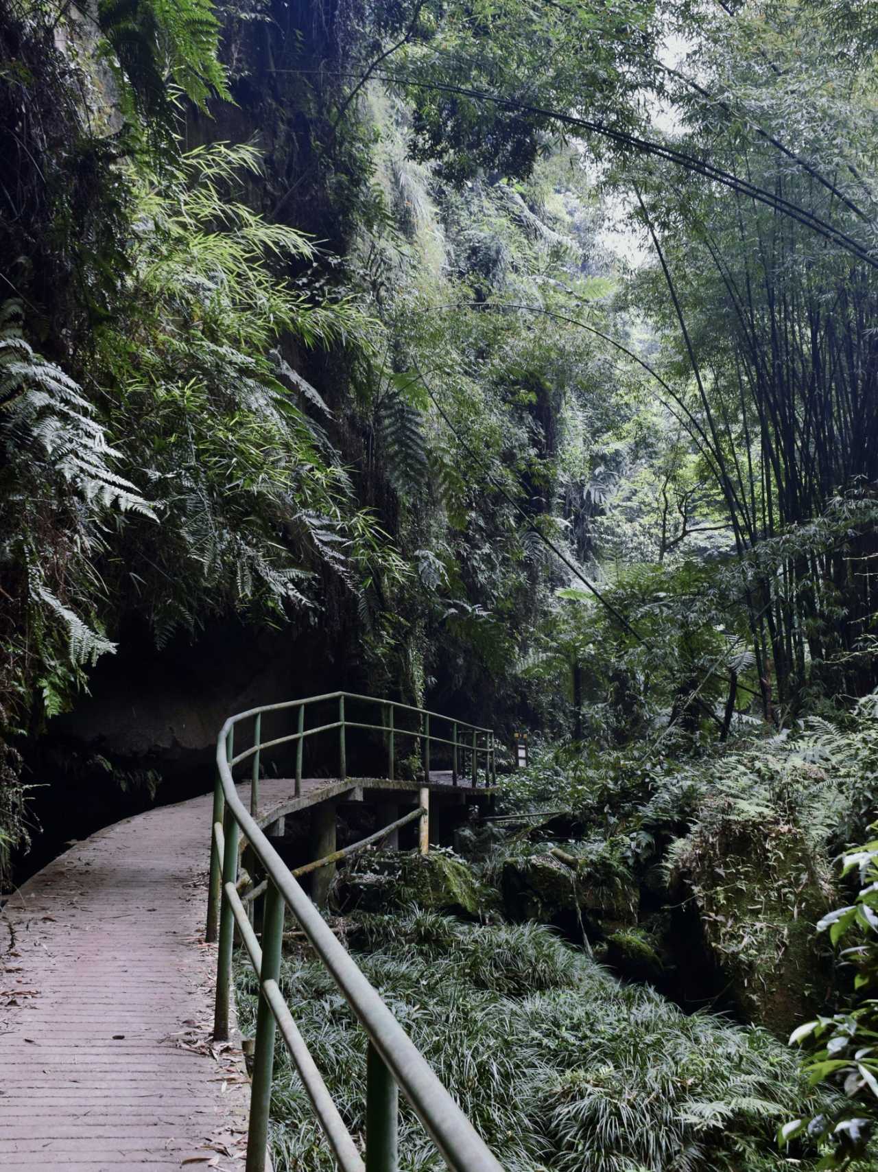 乐山异国风情打卡新去处,乐山游玩攻略及人文风情