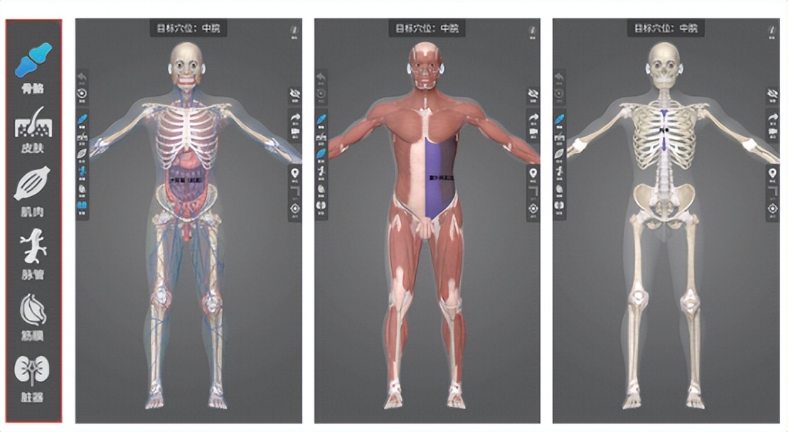 智能针灸教学模型,针灸培训系统