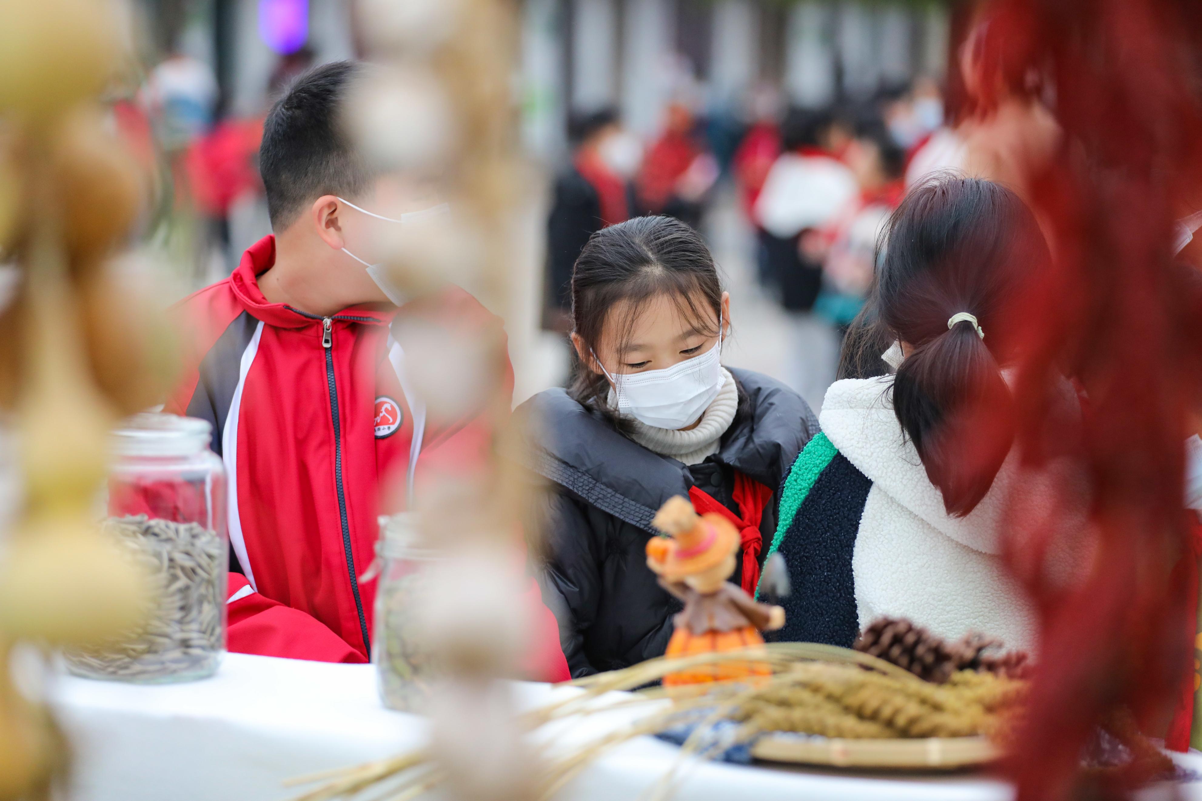 校园农场景观,小学生农场实践活动美篇