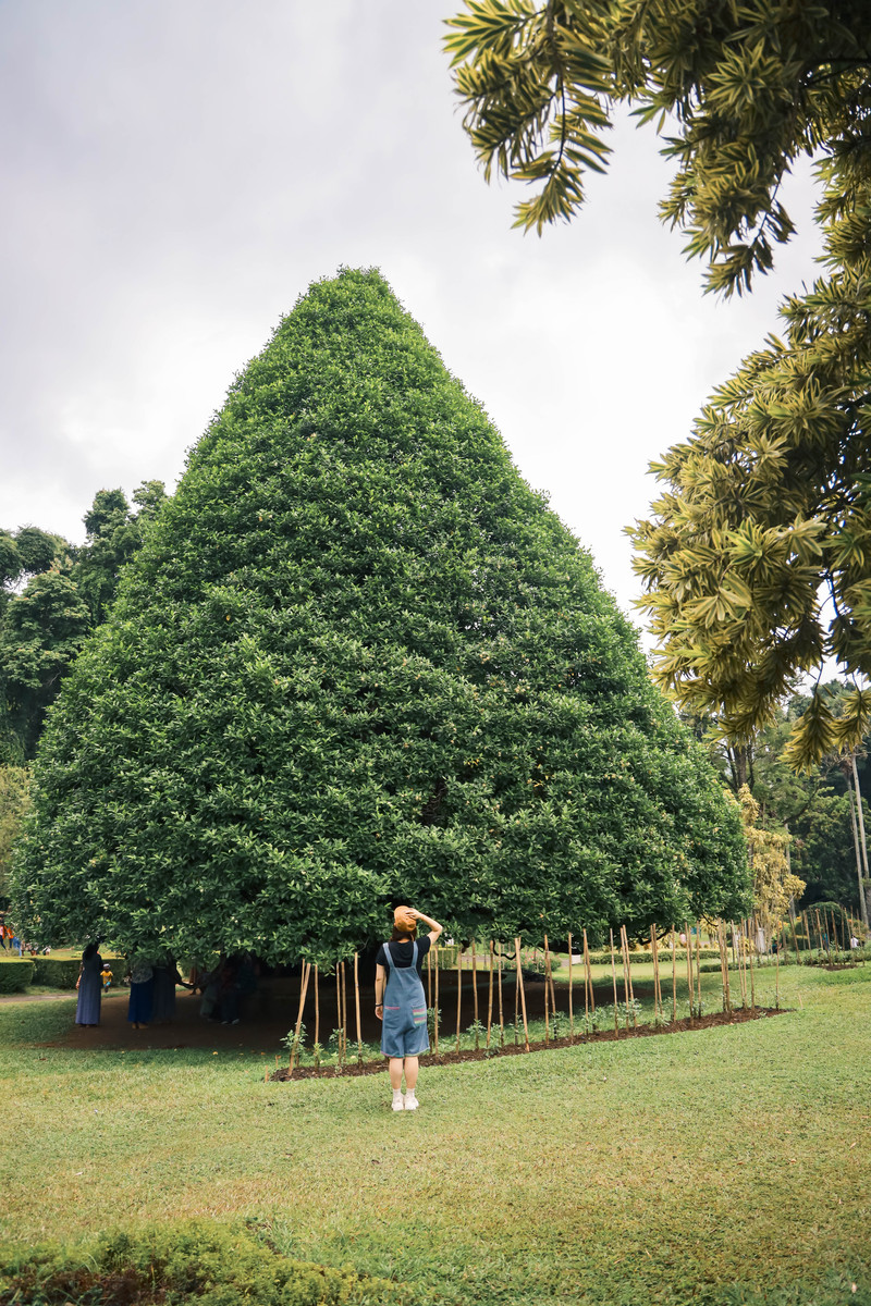 斯里兰卡旅游攻略必去景点,斯里兰卡旅游攻略最佳时间