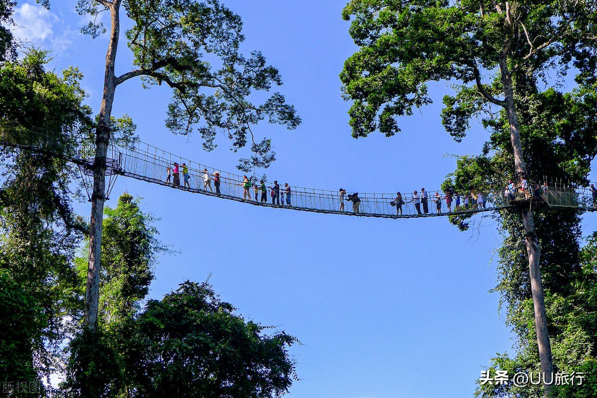 西双版纳春节防疫最新规定,西双版纳各个旅游景点防疫政策