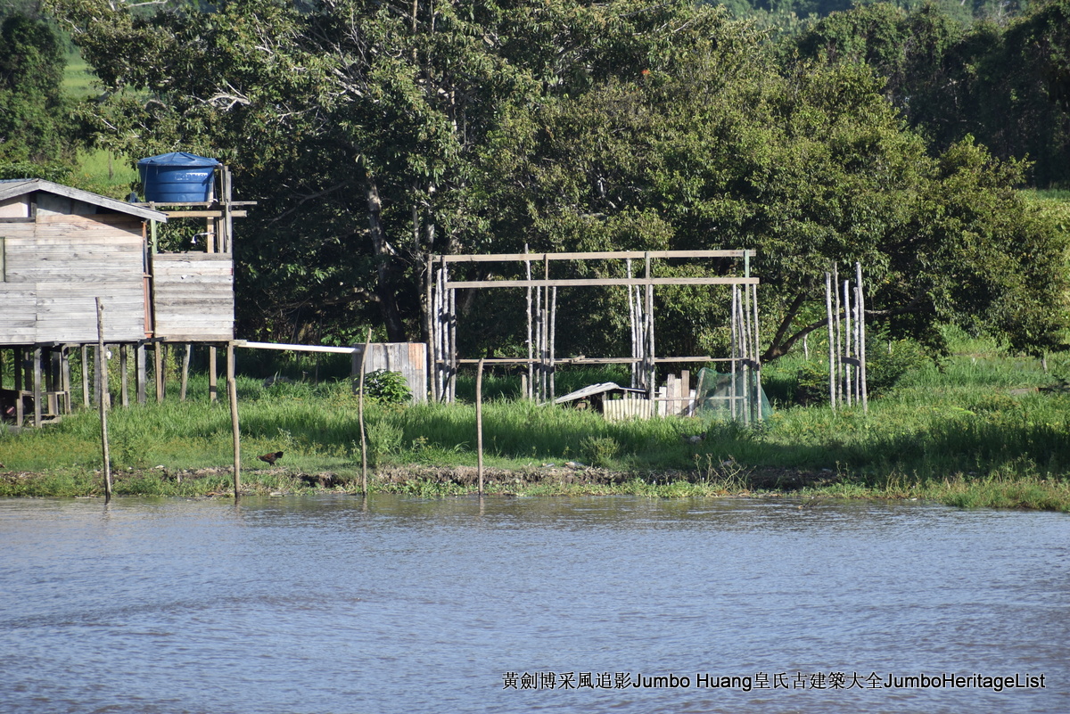 第5047回：消失的亚马逊文明，流失的林下聚居地