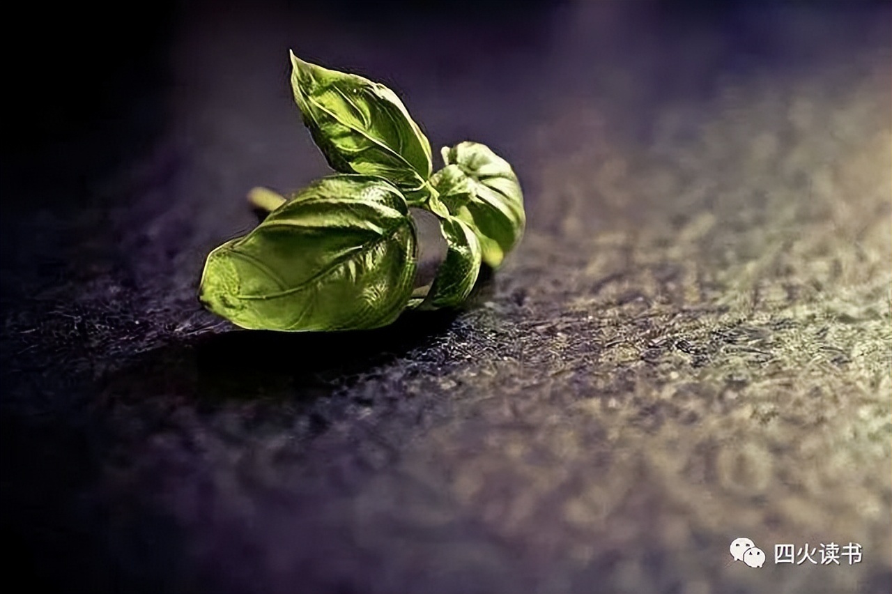 冯唐觉察自己情绪的方法,冯唐成事心法应对年龄危机