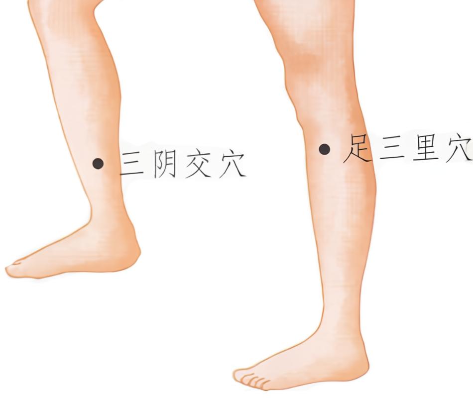 消水肿食疗汤,消水肿常用药