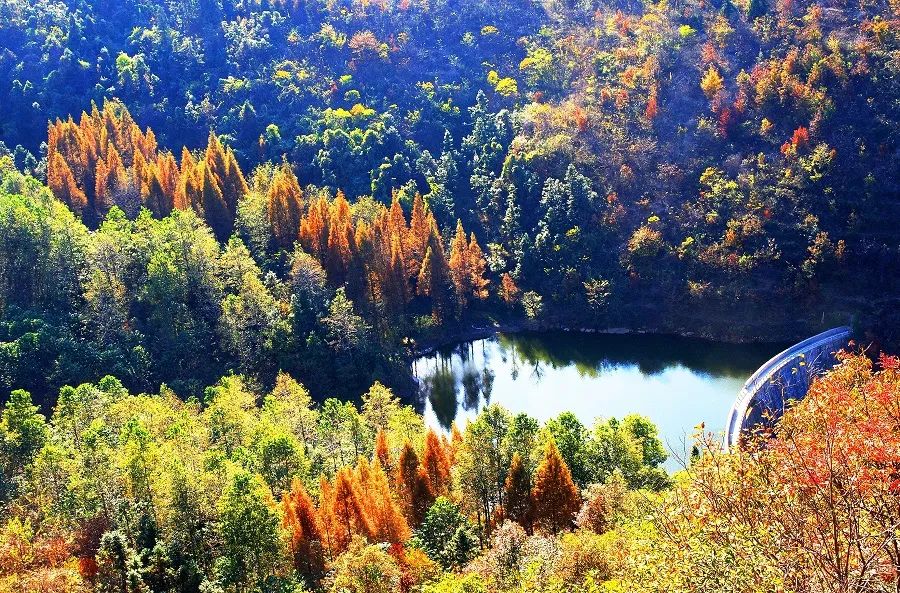 信阳十大旅游乡村,信阳周边乡村旅游景点推荐