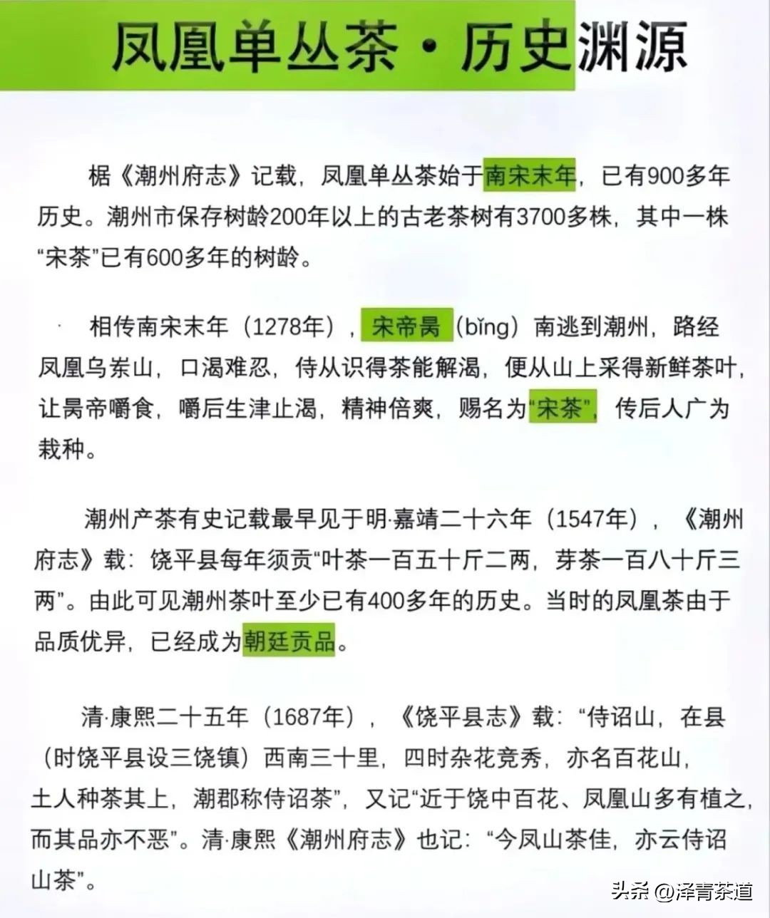 了解一下凤凰单丛,了解凤凰单丛