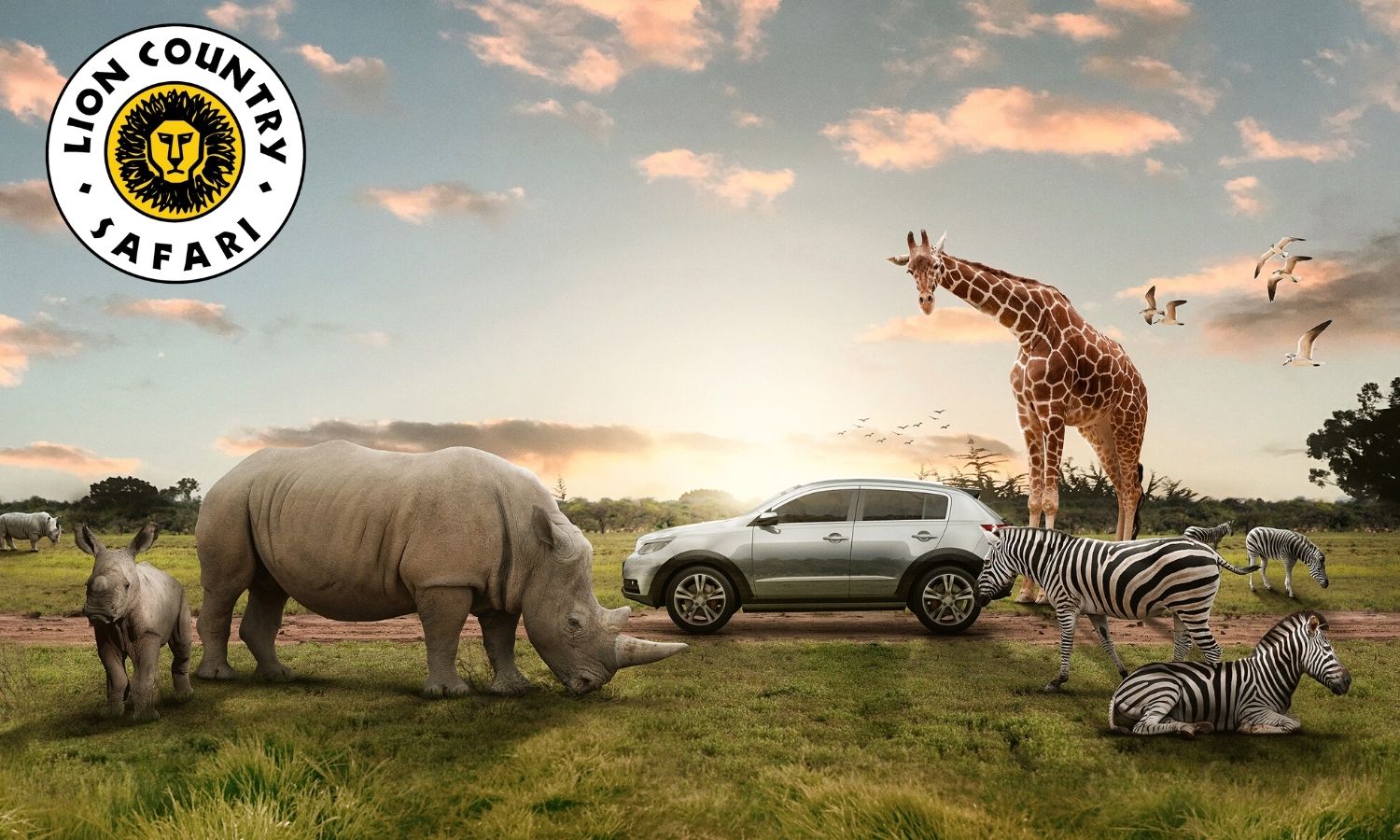 夏日游玩攻略1日游,夏日旅游攻略江浙沪