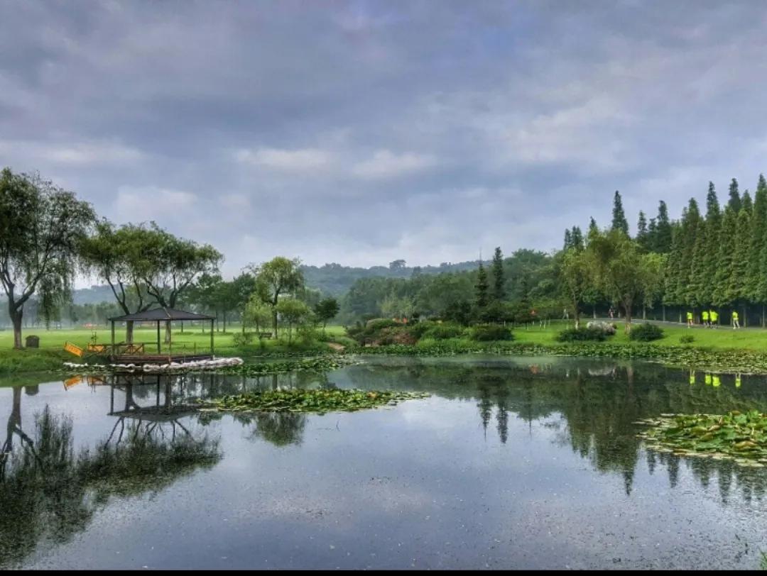 无锡西太湖旅游景点有海鸥吗,无锡富颐国际大酒店周边旅游景点