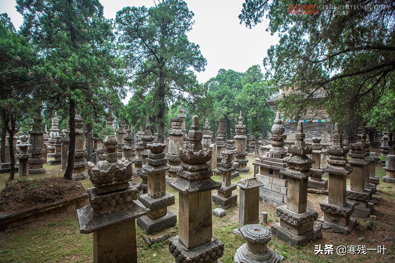 济南灵岩寺，有座国内最大也是唯一的石砌塔林，规模比少林寺更大