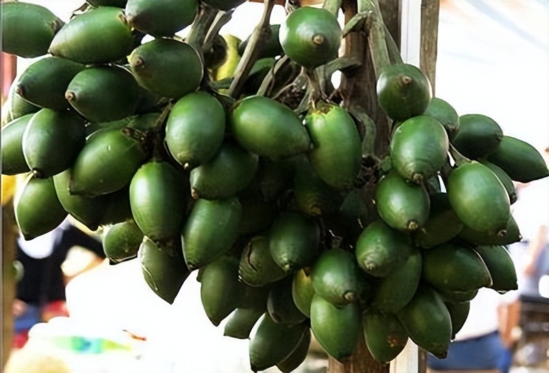 为什么湘潭槟榔那么出名,湖南槟榔进化史