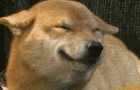 有创业项目没钱咋办,缺钱创业公司股权最佳分配方案