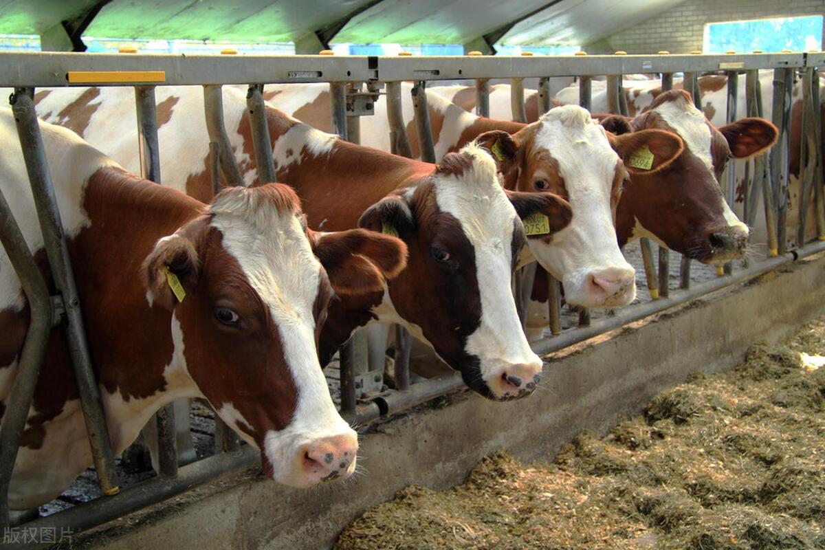 农村生态养殖新模式,互联网种植业引爆未来农业