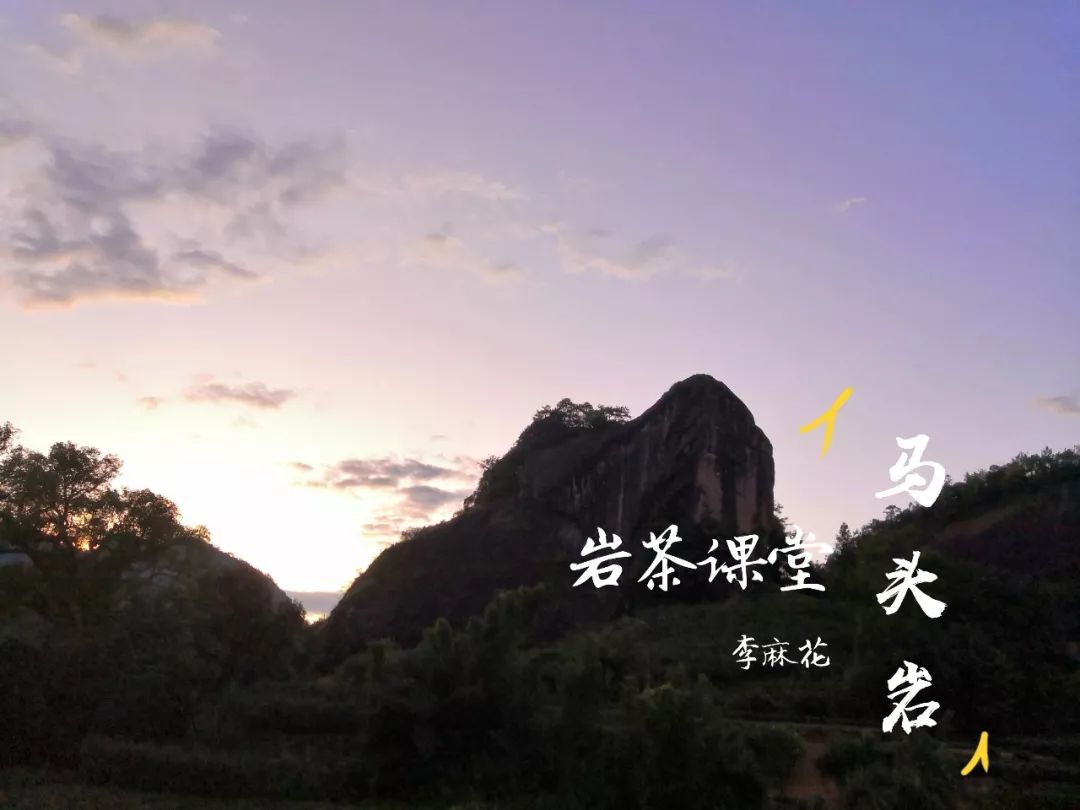 喝茶十多年了,岩茶最好喝的是哪一种