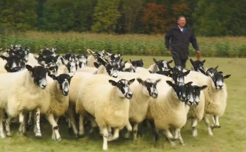 英国富豪农场纪录片,英国富豪农场主纪录片