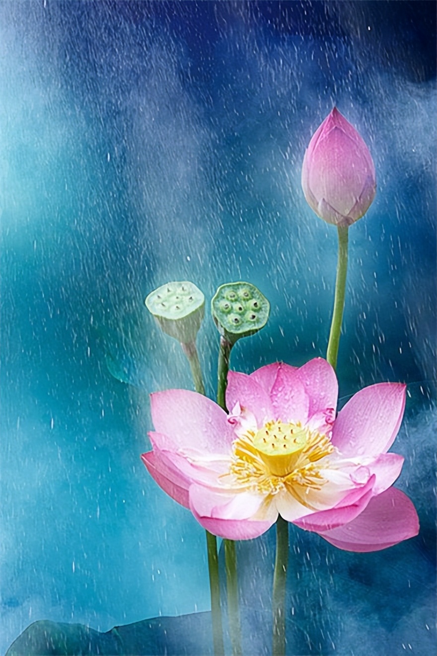 哲理情感文案伤感扎心短句,经典哲理句子句句穿心短句