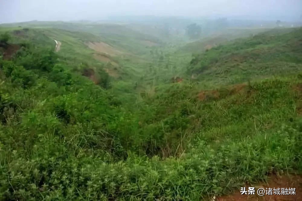 诸城古村遗址,山东诸城县志古村遗址