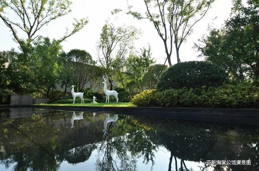 亚新紫藤公馆和海棠公馆,亚新紫藤公馆和亚新海棠公馆比较