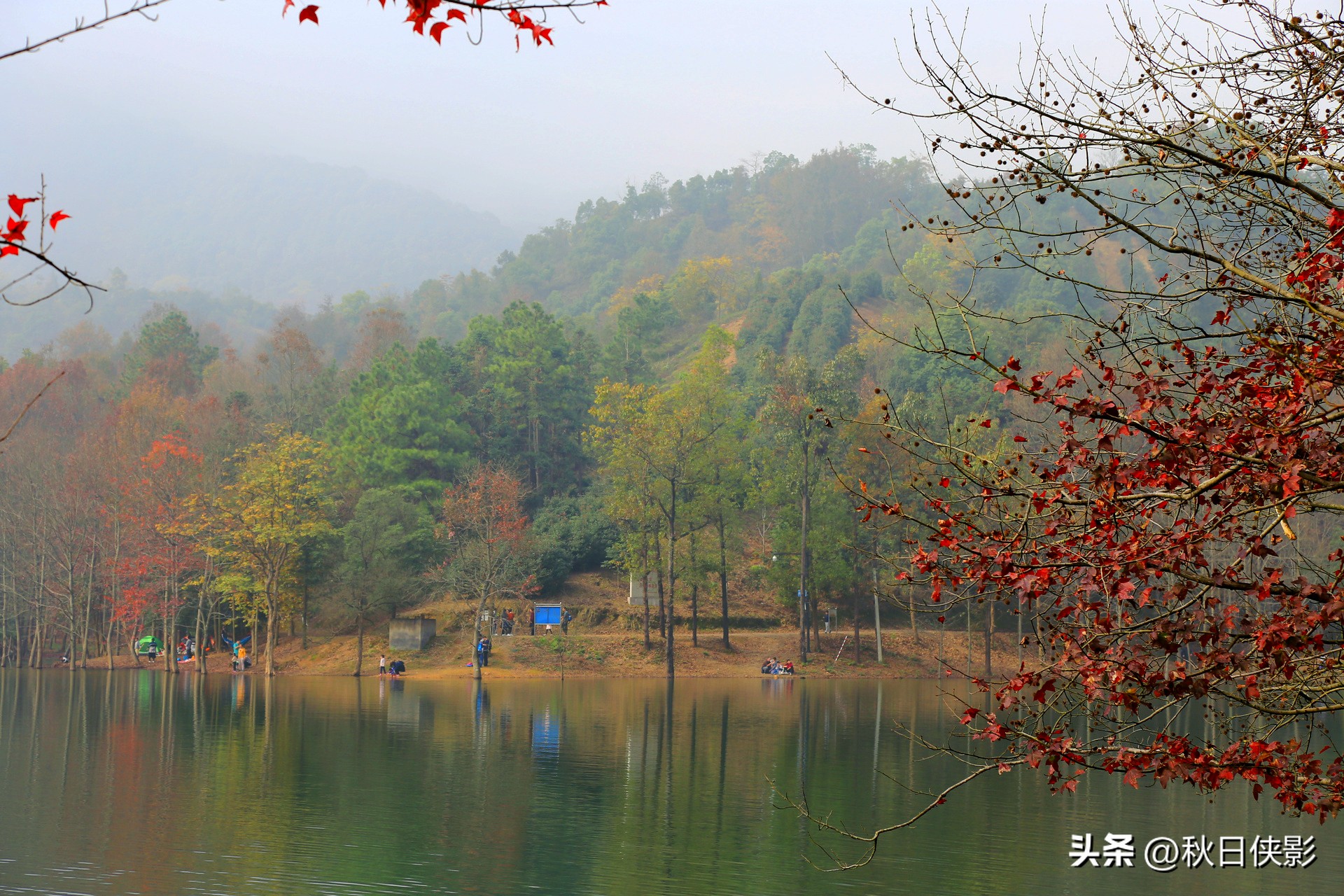 杭州周边秋日赏景好去处,杭州周边当季旅游景点推荐