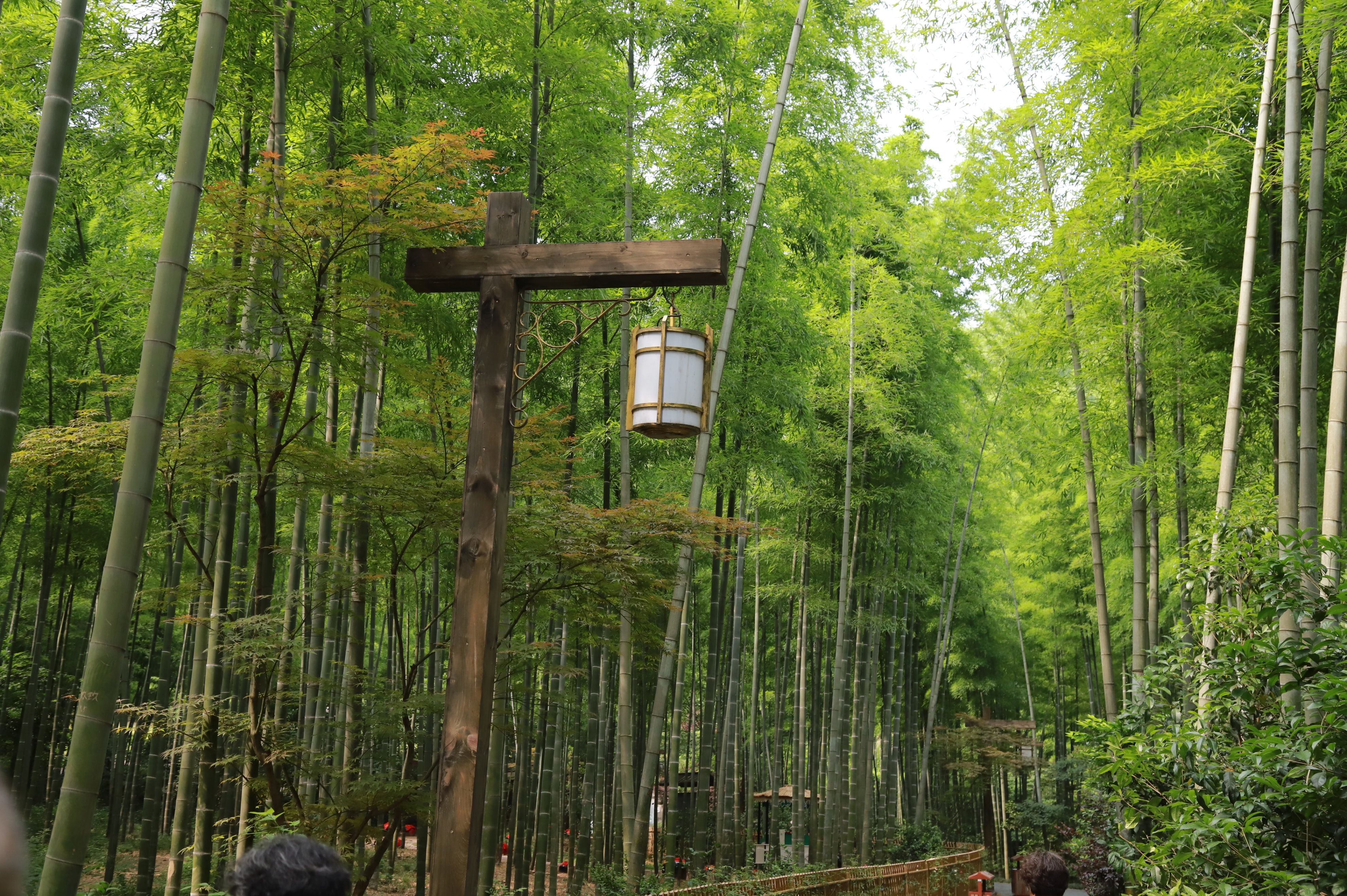 南山竹海自驾线路怎么走,去南山竹海旅游攻略路线推荐