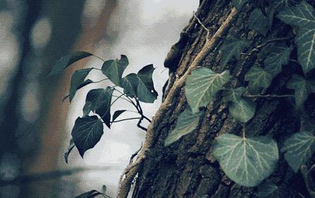 当生命剩下时光不多时最想做的事,剩下的时间好好活着