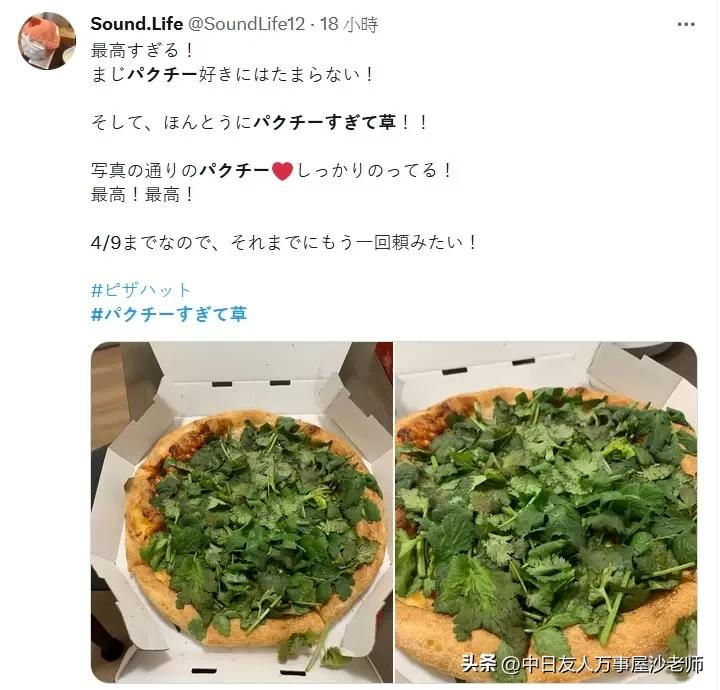 必胜客新品香菜披萨限定门店,日本必胜客披萨